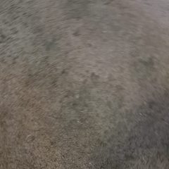 20220514_143714-scaled
