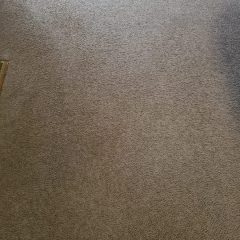 20220514_145928-1-scaled
