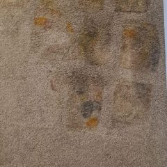 20251124_101853-scaled